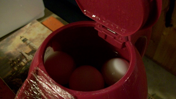 eggs in teapot
